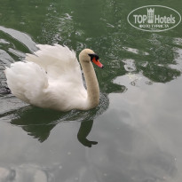 фото из отзыва ID 2682505