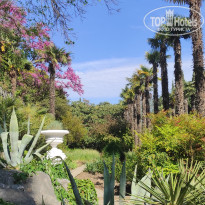 фото из отзыва ID 2682505