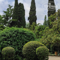 фото из отзыва ID 2682505