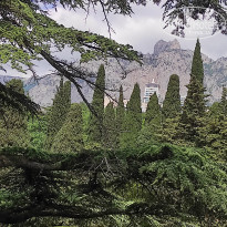 фото из отзыва ID 2682505