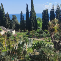 фото из отзыва ID 2682505