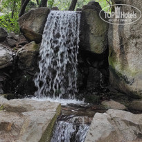 фото из отзыва ID 2682505