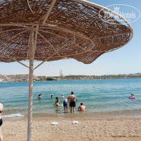 фото из отзыва ID 2682525