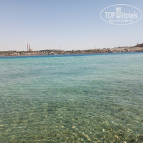 фото из отзыва ID 2682525