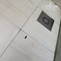 фото из отзыва ID 2682537