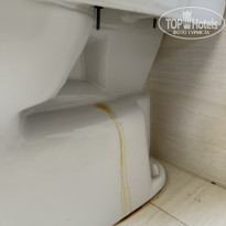 фото из отзыва ID 2682537