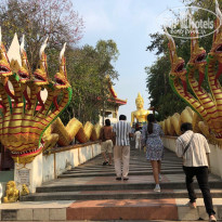 фото из отзыва ID 2682540