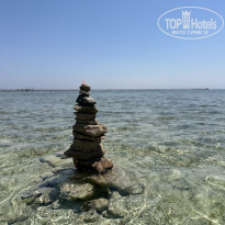 фото из отзыва ID 2682593