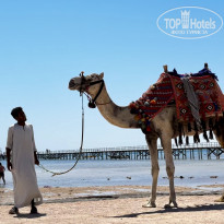 фото из отзыва ID 2682593