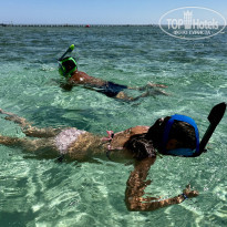 фото из отзыва ID 2682593