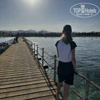 фото из отзыва ID 2682593