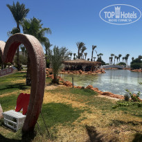 фото из отзыва ID 2682593