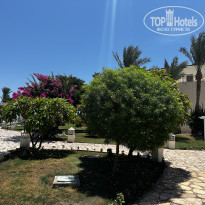 фото из отзыва ID 2682593