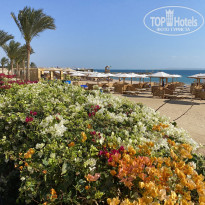 фото из отзыва ID 2682599