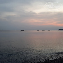 фото из отзыва ID 2682604