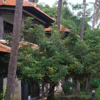 фото из отзыва ID 2682604