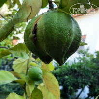 фото из отзыва ID 2682613