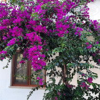 фото из отзыва ID 2682613