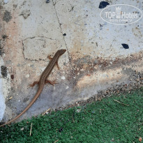 фото из отзыва ID 2682613