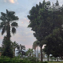 фото из отзыва ID 2682613