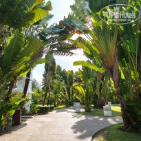 фото из отзыва ID 2682652