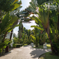 фото из отзыва ID 2682652