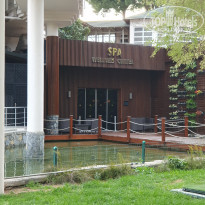 фото из отзыва ID 2682669