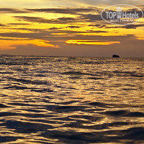 фото из отзыва ID 2682672