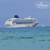 фото из отзыва ID 2682672