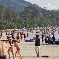 фото из отзыва ID 2682672