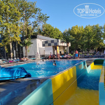 фото из отзыва ID 2682692