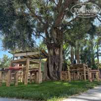 фото из отзыва ID 2682722