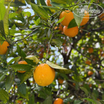 фото из отзыва ID 2682721