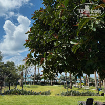 фото из отзыва ID 2682721