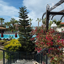 фото из отзыва ID 2682721