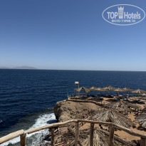 фото из отзыва ID 2682774