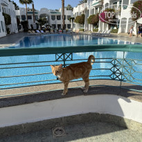 фото из отзыва ID 2682774