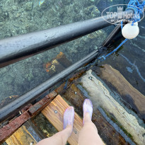 фото из отзыва ID 2682774