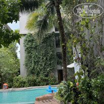 фото из отзыва ID 2682780