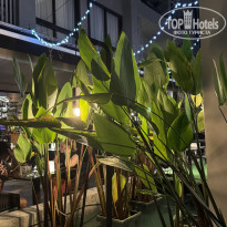 фото из отзыва ID 2682780