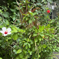 фото из отзыва ID 2682780