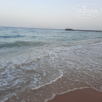 фото из отзыва ID 2682846