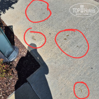 фото из отзыва ID 2682847