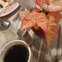 фото из отзыва ID 2682850