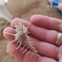 фото из отзыва ID 2682889