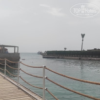 фото из отзыва ID 2682889