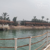 фото из отзыва ID 2682889