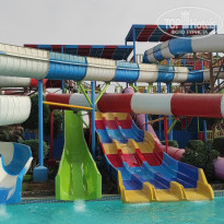 фото из отзыва ID 2682889