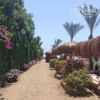 фото из отзыва ID 2682889