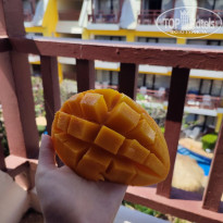 фото из отзыва ID 2682918